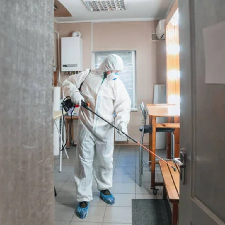 mold prevention and remediation