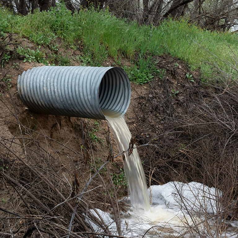 sewage backup cleanup