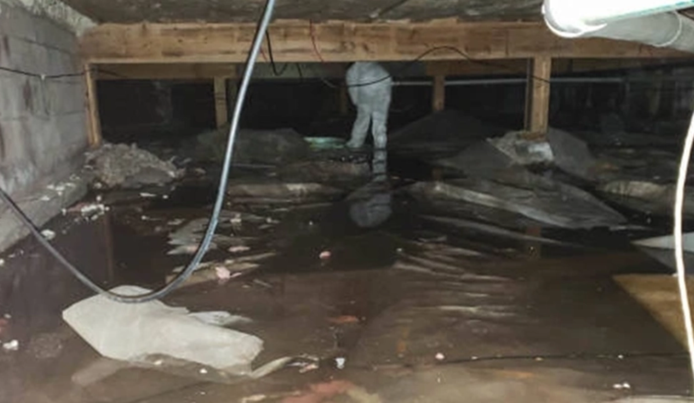 flood damage restoration in ajax