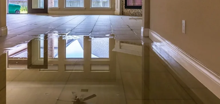 mould grow after a water leak
