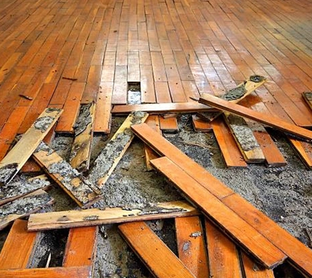 what to do immediately after a flood