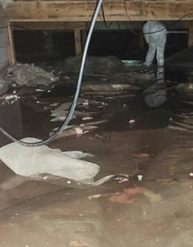 flood and basement water response in etobicoke