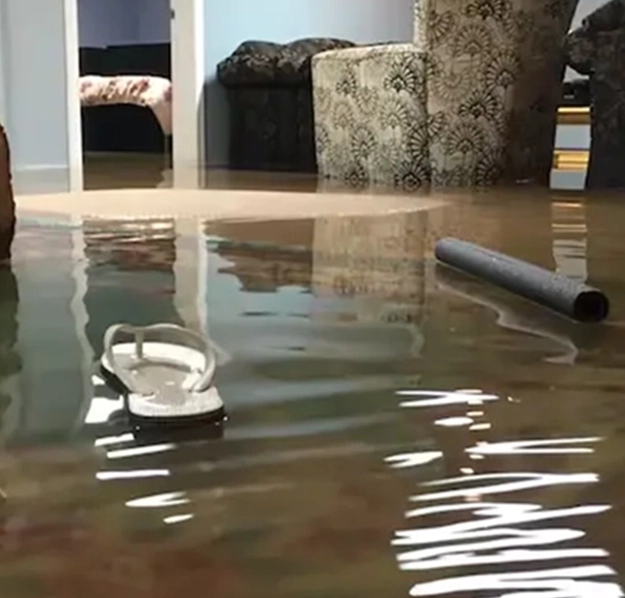 insurance coordination for a halton hills flood claim